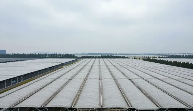 网络较为完善条件下,两种部署方案的取舍对比